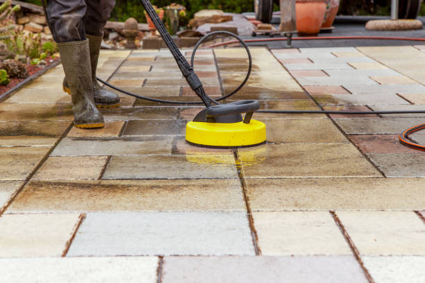 Best Building Exterior Washing  in Cass City, MI